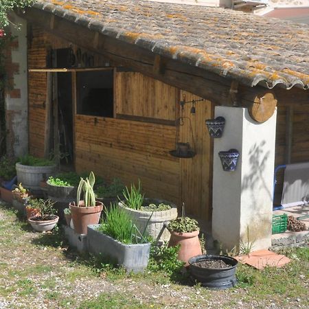 La Ferme De Tonton Jules 2 Hotel Entraigues-sur-la-Sorgue Buitenkant foto